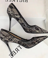 Pointed toe stiletto high heels female lace mesh sexy bed hollow single shoes spring new