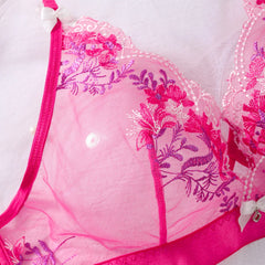 Color blocked bow see through bra set with floral embroidery and underwear two-piece set